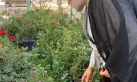 صدر: خاک عراق، میدان حمله به ایران نمی‌شود
