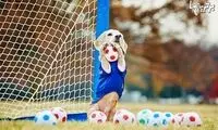 رکوردهای جالب و باورنکردنی گینس (4)