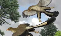 پدربزرگ پرنده‌ ها یک دایناسور چُلمن بود!