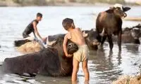 اعتراضات خوزستان با رهاسازی آب کنترل شد؟!