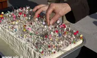 روز گرامیداشت سوزن های شکسته! +عکس
