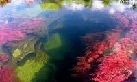 رودخانه رنگین کمان کانو کریستال، زیبا ترین رودخانه جهان