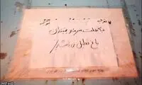 عکس: پرندگان باغ پرندگان شیراز یخ زدند!