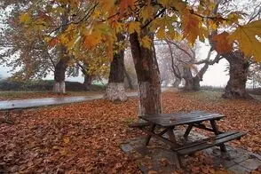 باران پاییزی، لاله‌زار تهران را به یک قاب شاعرانه تبدیل کرد