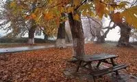 باران پاییزی، لاله‌زار تهران را به یک قاب شاعرانه تبدیل کرد