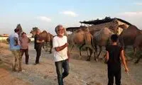 تصویربرداری «رعد و برق» افخمی از نیمه گذشت