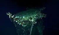 کشف لاشه ناوِ ژاپنی با استفاده از ربات کاوشگر