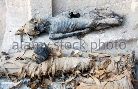 رسوایی در مصر؛ مومیایی‌ها در میان زباله‌ها