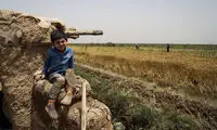 برداشت از مزارع گندم به زیر آب رفته شادگان