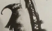 حیواناتی که به خاطر جرمشان محکوم به مرگ شدند