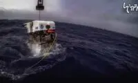تصاویر جالب از حیات کف اقیانوس