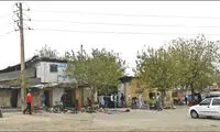 شنیده‌شدن صدای خلازیر بعد از چهل سال