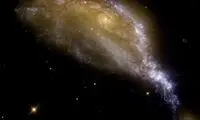 تصویری از چشم پرنده در فضا