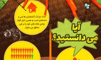 اینفوگرافی: انفجار زمین