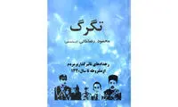 فیلمنامه «پس از باران» از من سرقت شد