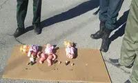 کشف 3 عروسک بمب گذاری شده در کاشمر