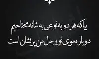 مینی شعر (355)
