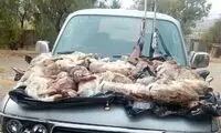 بازداشت ۴ شکارچی خرگوش در زنجان