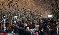 بازار داغ آجیل در تهران
