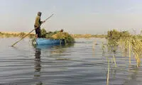 بازگشت زندگی به دریاچه هامون