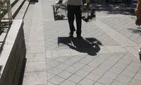 دام گستری مقابل دادگستری! +عکس