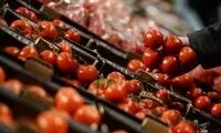 به زودی، گوجه فرنگی ۲۰هزار تومان می‌شود!