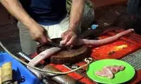 مارِ قطعه قطعه شده، آشپز را کُشت! +عکس