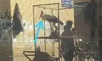 ملتی هستیم که مهمانانش را به قفس می‌اندازد!