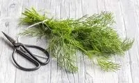 گیاه کم کالری اما سرشار از ویتامین A و C