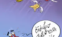 کاریکاتور: رقابت گوشت، مرغ و پراید با دلار!