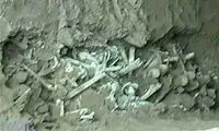 کشف یک گور دسته جمعی در تبریز
