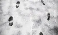 گزارش تصویری از بارش برف پاییزی در تهران