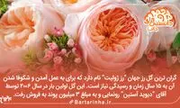 دانستنی‌ های جالب (193)
