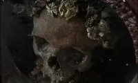 بخش‌هایی از بدن انسان که به حراج گذاشته شدند