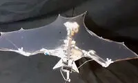 ساخت پهپاد خفاشی توسط آمریکا
