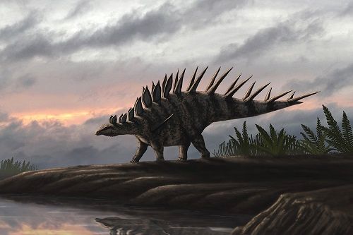 کشف قدیمی‌ترین دایناسور استگوسور
