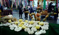 برگزاری جشنواره کدو در رشت
