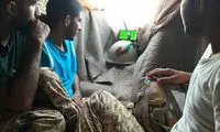 استوری شجاع خلیل‌زاده برای سربازان وطن