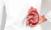 آنچه باعث سنگ‌ساز شدن کلیه‌ها می‌شود