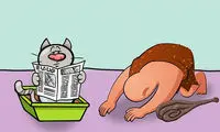 ۲۵ حقیقت جالب درباره گربه‌ها