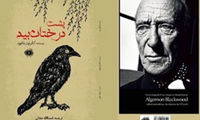 چگونه پای پدر ژانر وحشت به ایران باز شد؟