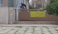 خانم کارگردان دست از سَر عمارت تاریخی بَرنمی‌دارد