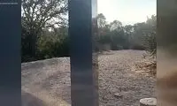 سَر و کله‌ی جسم مرموز برای سومین بار پیدا شد