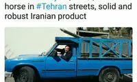 سفیر آلمان در ایران، سوار بر نیسان آبی!