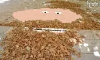تصویرگری جالب با خیابان های پاریس!