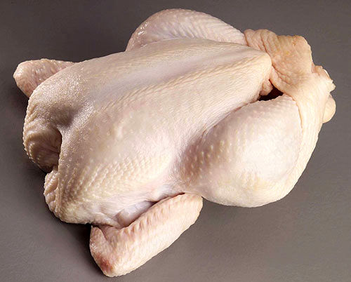 مرغ سالم چه ویژگی‌هایی دارد؟