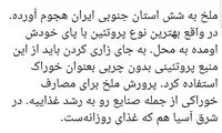 و ناگهان ملخ‌خوری در ایران جذاب شد