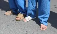 سارقان خشن ملارد دستگیر شدند