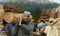 فیلم «آزاد به قید شرط»، قورباغه‌‌های هفت‌تیر به‌دست سینما