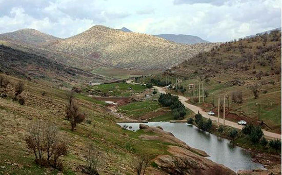 سفر در جاده‌های رویایی